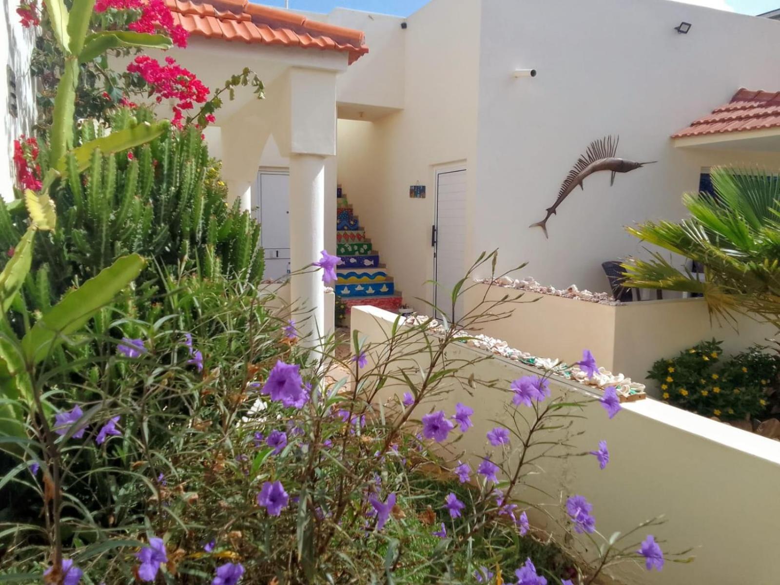 Casa Djarmai Boutique Apartments Cidade do Maio ภายนอก รูปภาพ